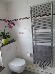 60 x 181 cm Badheizkörper INOX Edelstahl Option Mittelanschluss