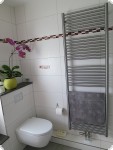 60 x 181 cm Badheizkörper INOX Edelstahl Option Mittelanschluss